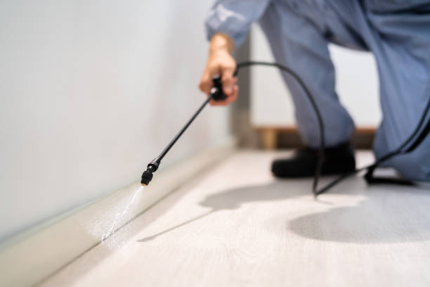 Licensed Cockroach Control service in Savanna, IL - Nex Pest Control