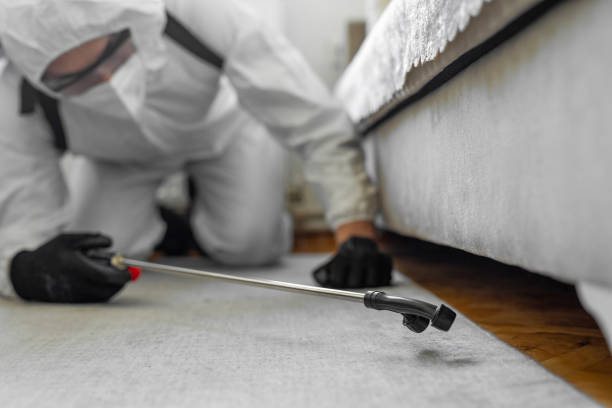 Professional Cockroach Control technician working in Savanna, IL