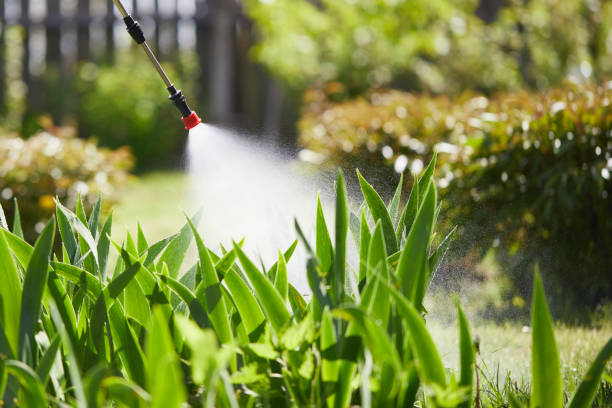 24/7 Emergency Cockroach Control experts in Savanna, IL
